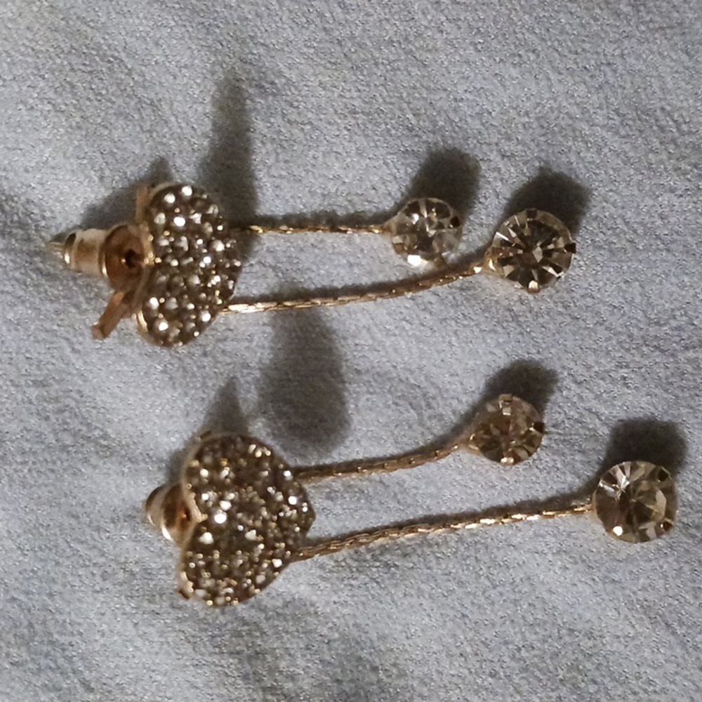 NWOT Dangle Earrings